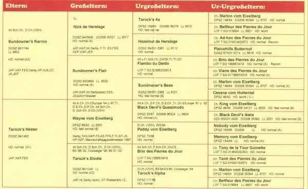 Papiere Ravens A Wurf